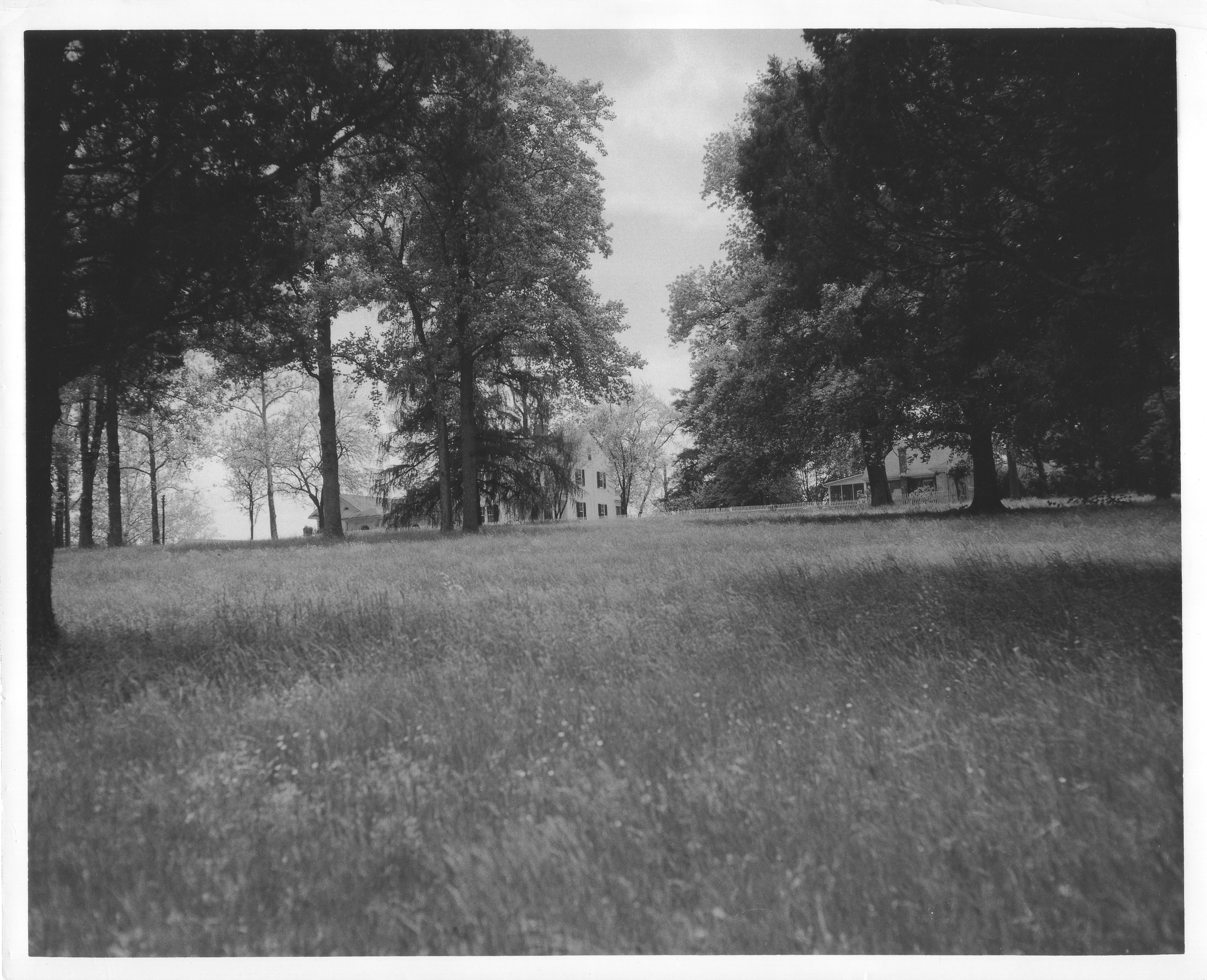 Ravensworth Farm photographs, ca. 1956. 